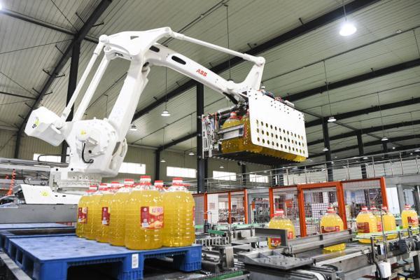 探索中国食用油市场的数字化新篇章，中国食用油网的作用与影响