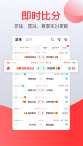 探索手机即时比分网，现代体育迷的掌上宝典