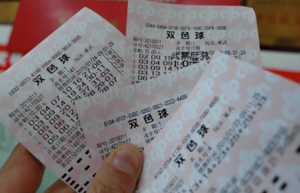 彩票中奖查询结果怎么查，全面指南