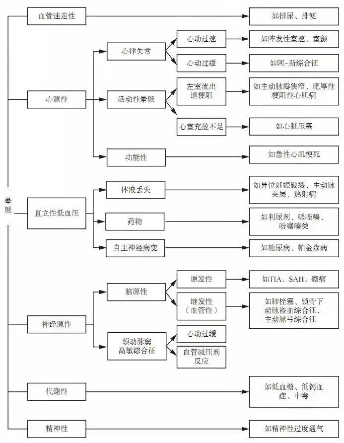 今晚开奖的神秘数字，揭秘彩票背后的故事与期待
