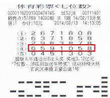澳门最精准免费全网资料，揭秘澳门博彩业背后的真相与机遇