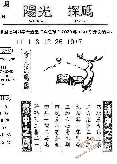 阳光探码，彩民乐的图文版新体验