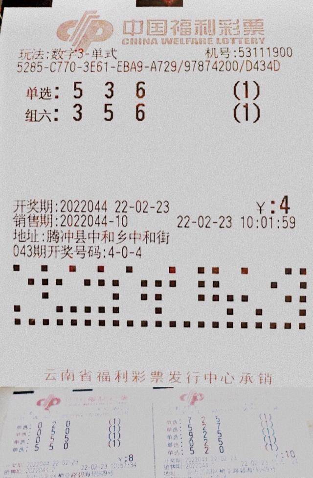 排列五试机号100期查询，揭秘数字背后的秘密