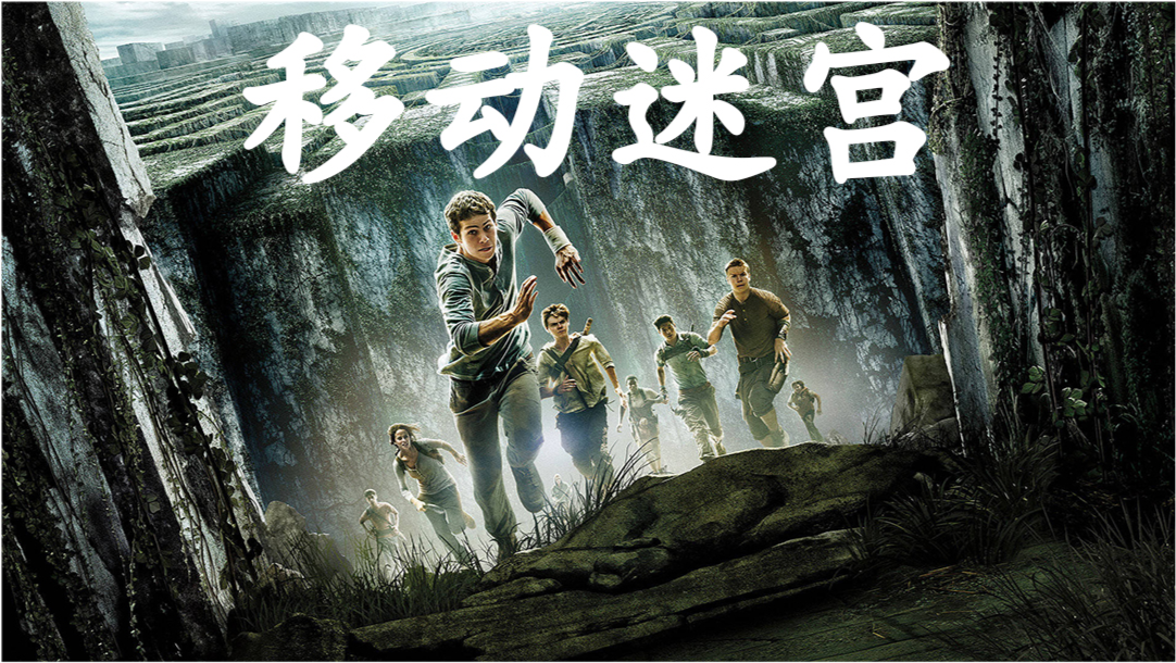 迷宫中的人，探索与自我发现的旅程