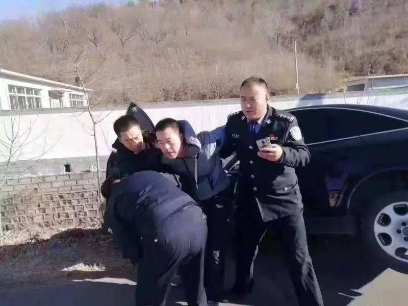 15选5在线随机选号，智慧与幸运的完美结合