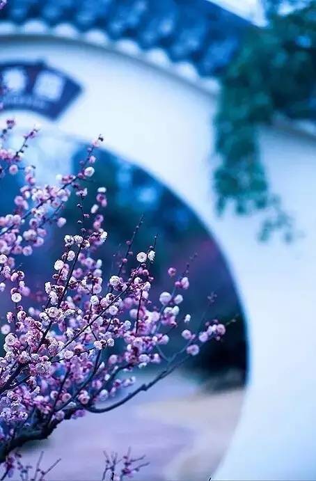 左岸春风，一语断蓝，字谜中的智慧与乐趣