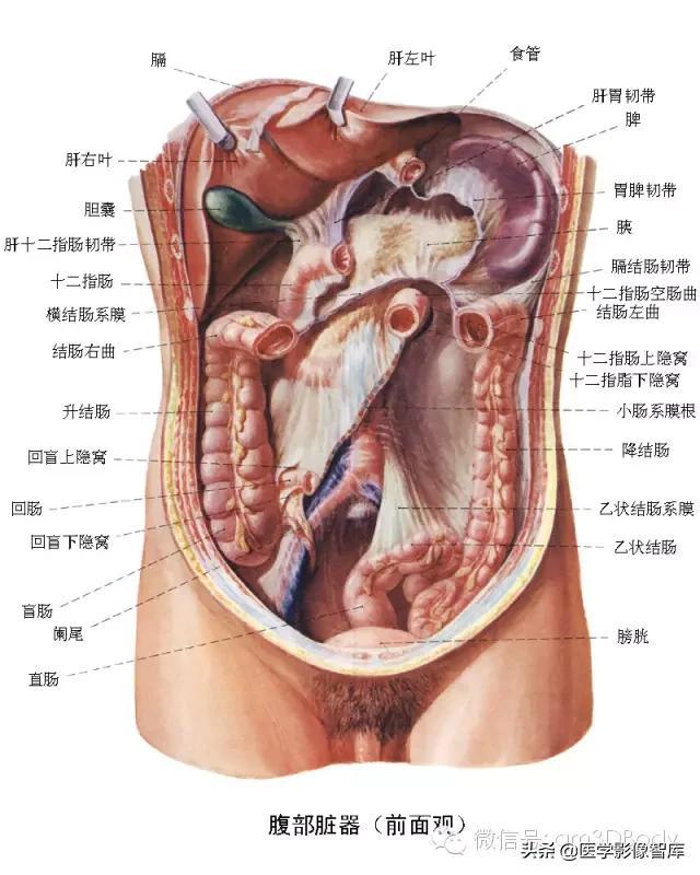 探索三维立体世界的奥秘，揭秘三维立体图制作软件APP的魅力与技巧