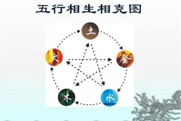 中华网双色球专家预测，揭秘数字背后的奥秘