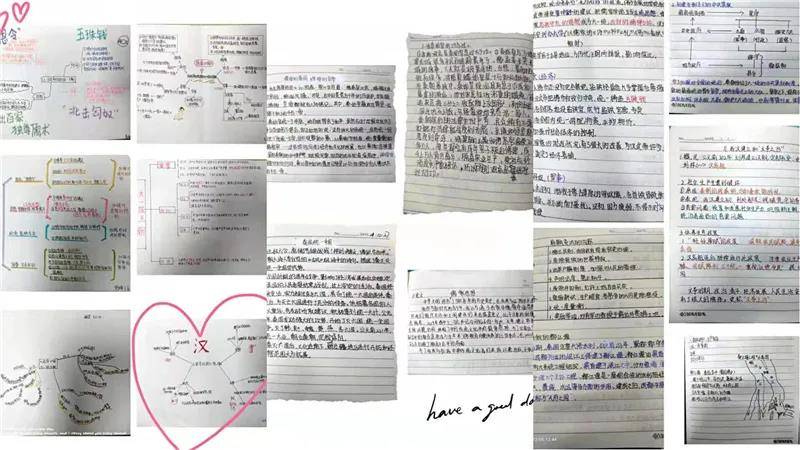 今日3D太湖字谜解析，探寻智慧与乐趣的奇妙之旅