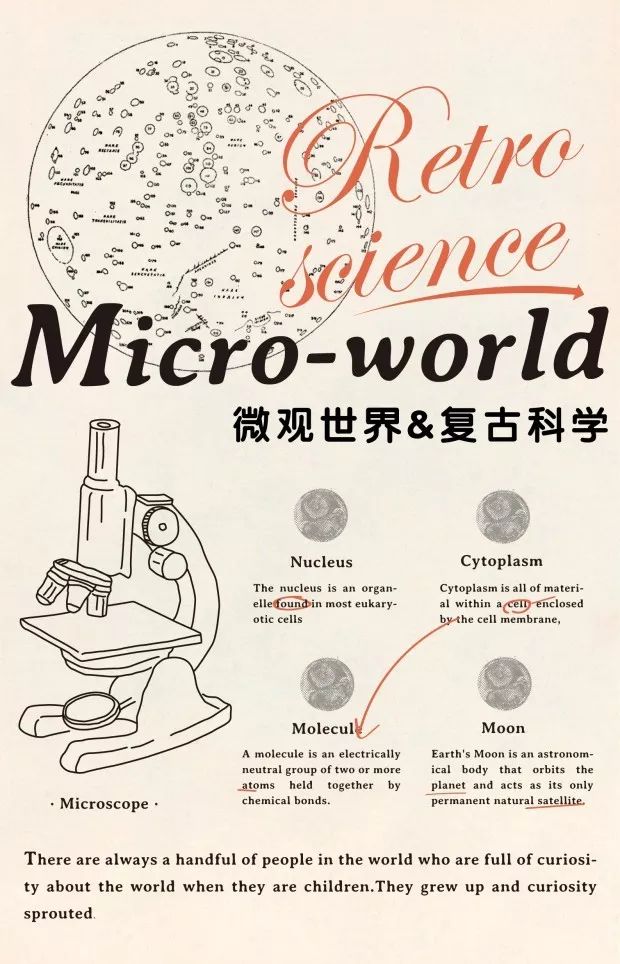 精华布衣123456，探索最新正版布衣全图库的魅力与价值