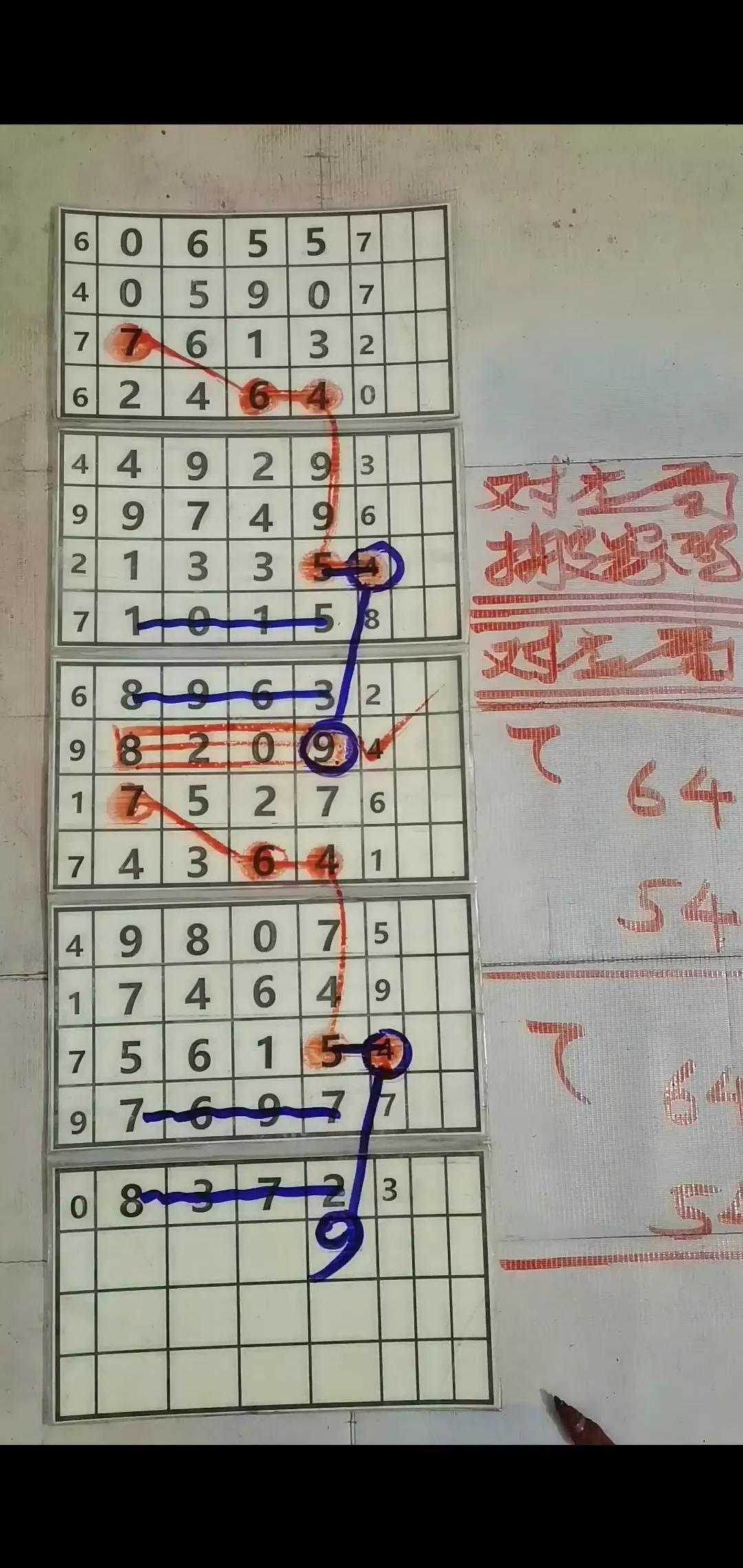 河北福彩排列七，解码走势图与连线的奥秘