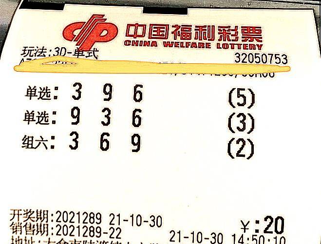 3D500期开奖结果查询，揭秘数字背后的幸运与期待