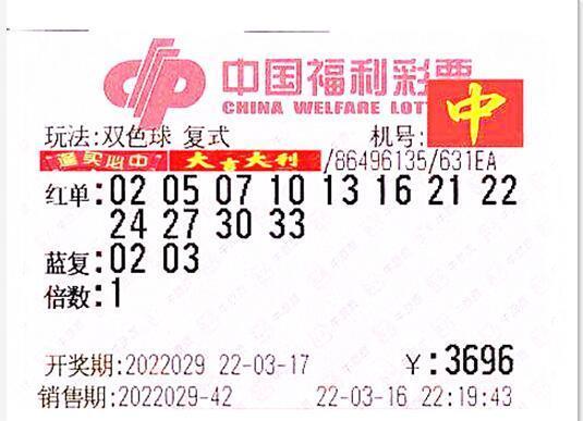 双色球字谜总汇，专家预测与彩民智慧碰撞的奇妙之旅