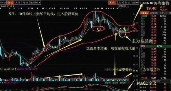 探索福建快8基本走势图，揭秘数字背后的奥秘