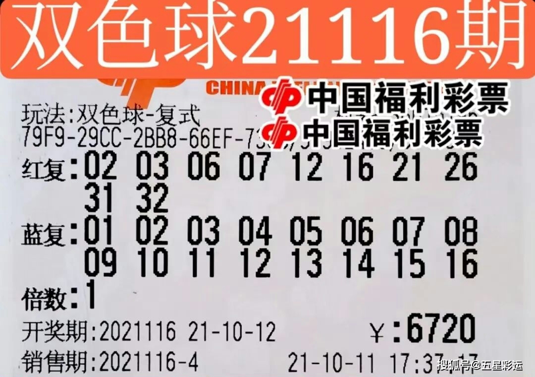 探索双色球2013118的神秘之旅，一场数字与运气的较量