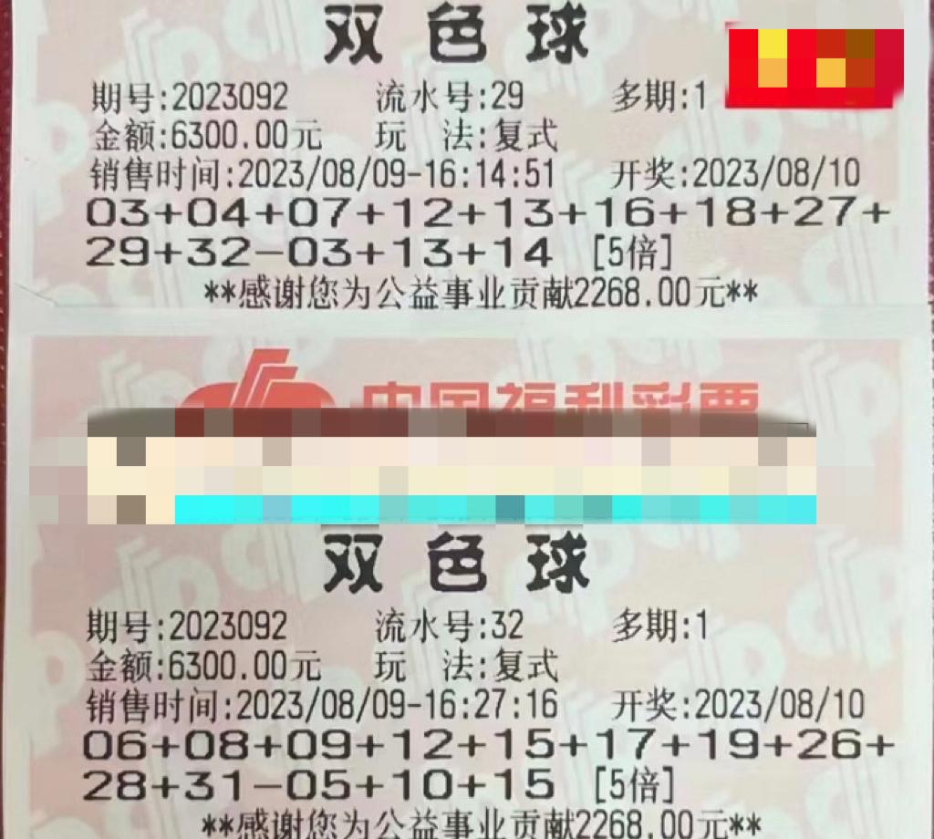 胆拖策略