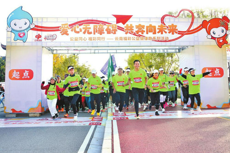 揭秘中彩网，中国福利彩票的数字乐园与公益桥梁