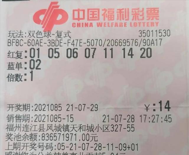 揭秘体彩6+1，中奖查询全攻略