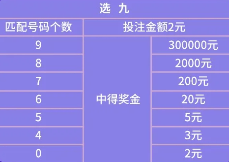 20选8，揭秘彩票奖金的魅力与对照表