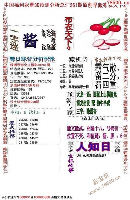 揭秘本期香港码开奖结果，数字背后的幸运与期待本期香港码开奖结果2024
