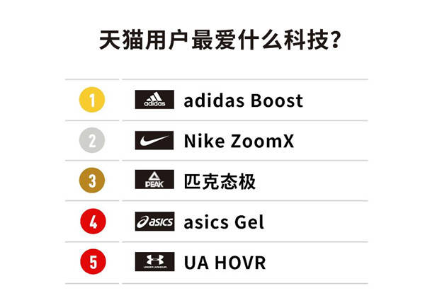 彩票走势图首页，解锁最专业分析的钥匙