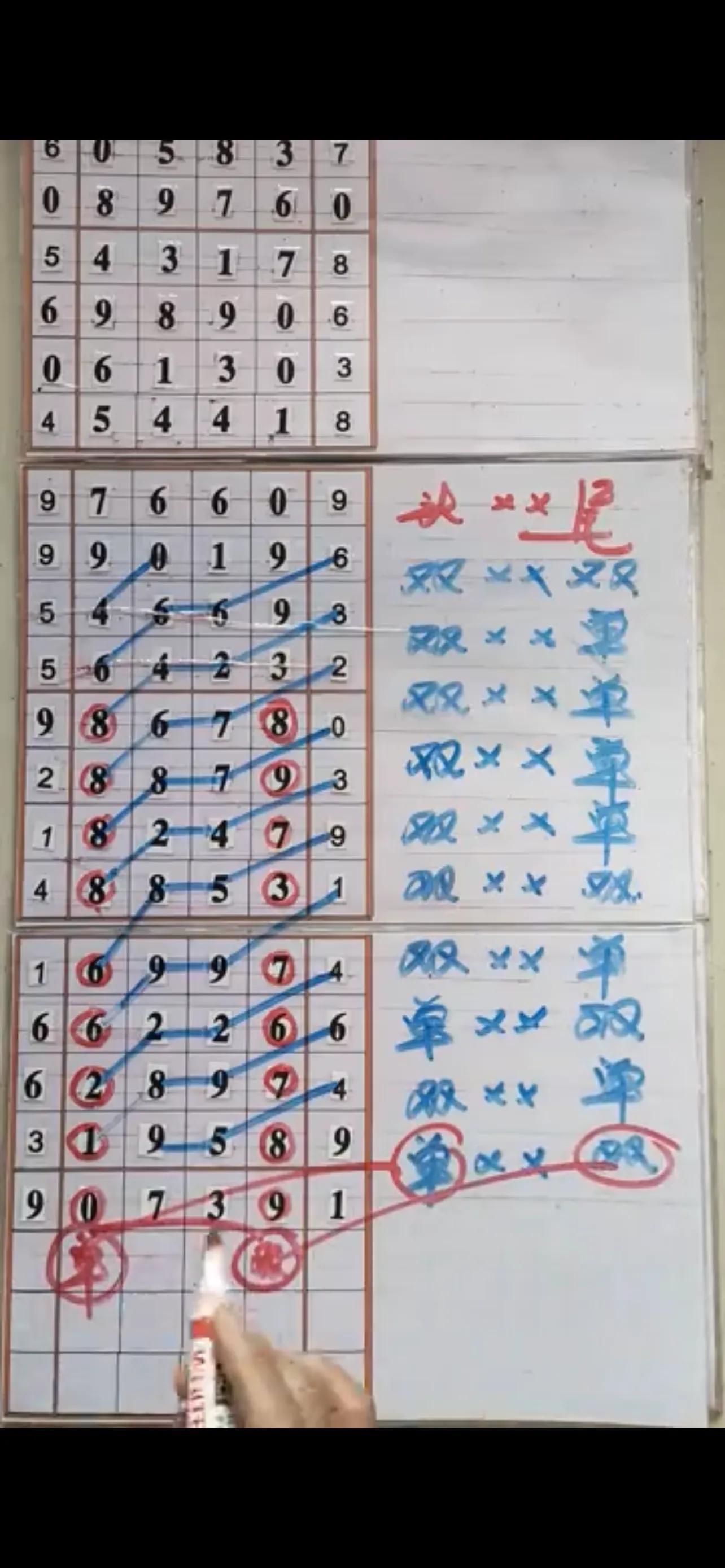 免费下载排列五奖表，提升您的彩票中奖率
