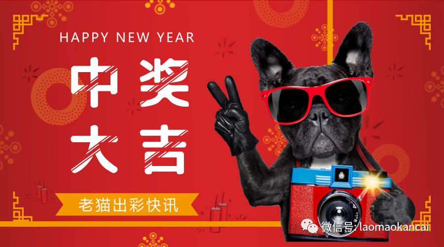 今日单挑一注，中奖不是梦