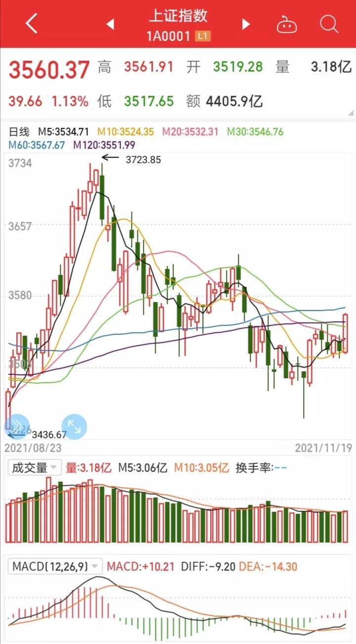 探索上海11选5开奖走势图，数字背后的奥秘与理性投注