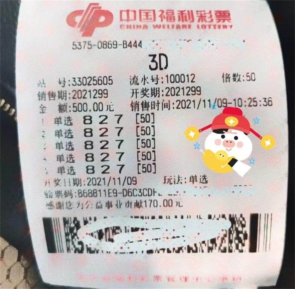 彩票中奖的奥秘，揭秘几位数能中奖的真相
