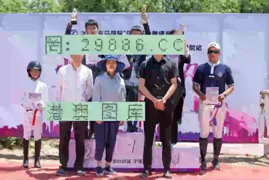澳门2023年新开奖结果记录，透视数字背后的故事