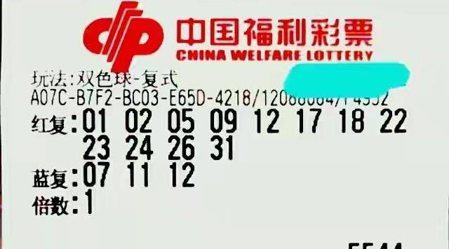 天彩网，数字时代的幸运之匙