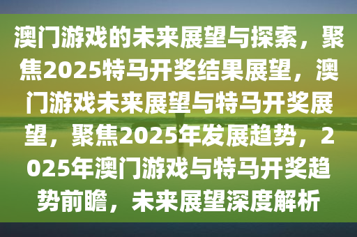澳门特马，2025年未来展望与理性投注