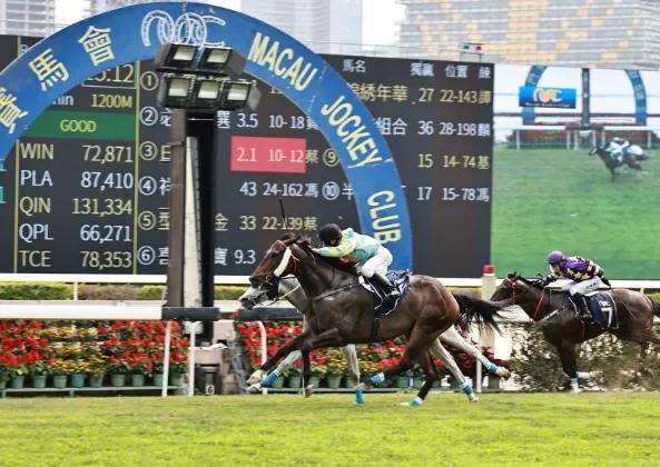 直播时代下的新体验，香港马会开奖结果实时直播