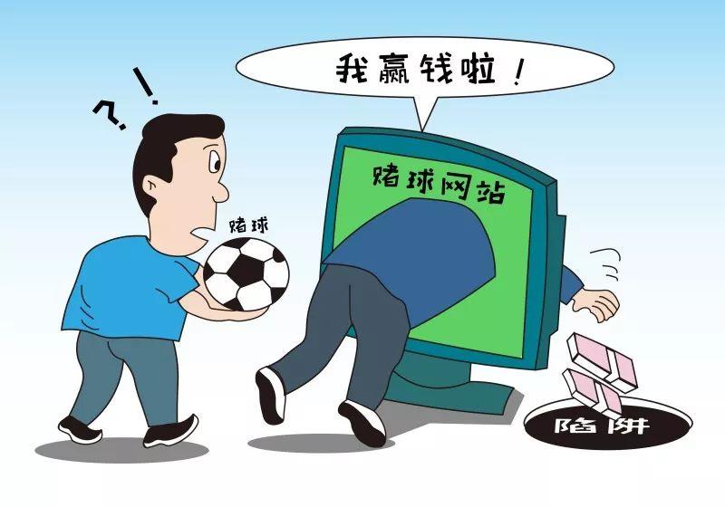 澳门六开彩开奖结果，全年记录与深度分析