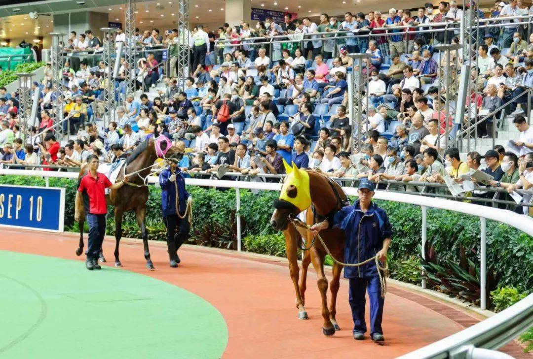 2025年香港马会今期开奖号码的预测与回顾