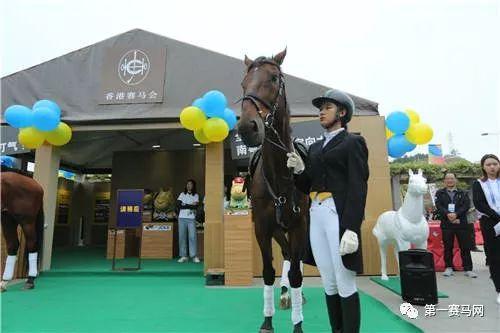 2019年香港马会资料大全，探索赛马会文化与慈善事业的辉煌篇章