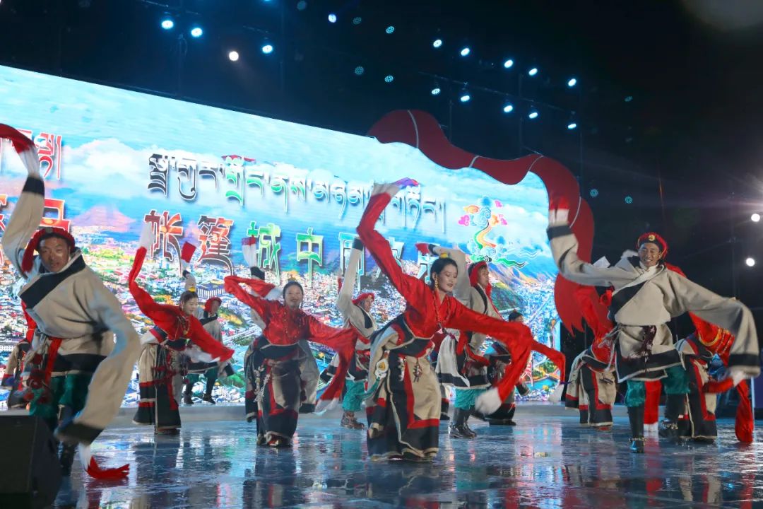2019年马会全年资料回顾，精彩纷呈的赛马盛宴