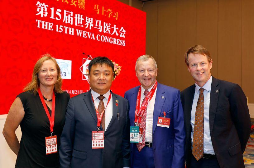 2019香港马会资料大全免费，探索赛马文化的深度与广度