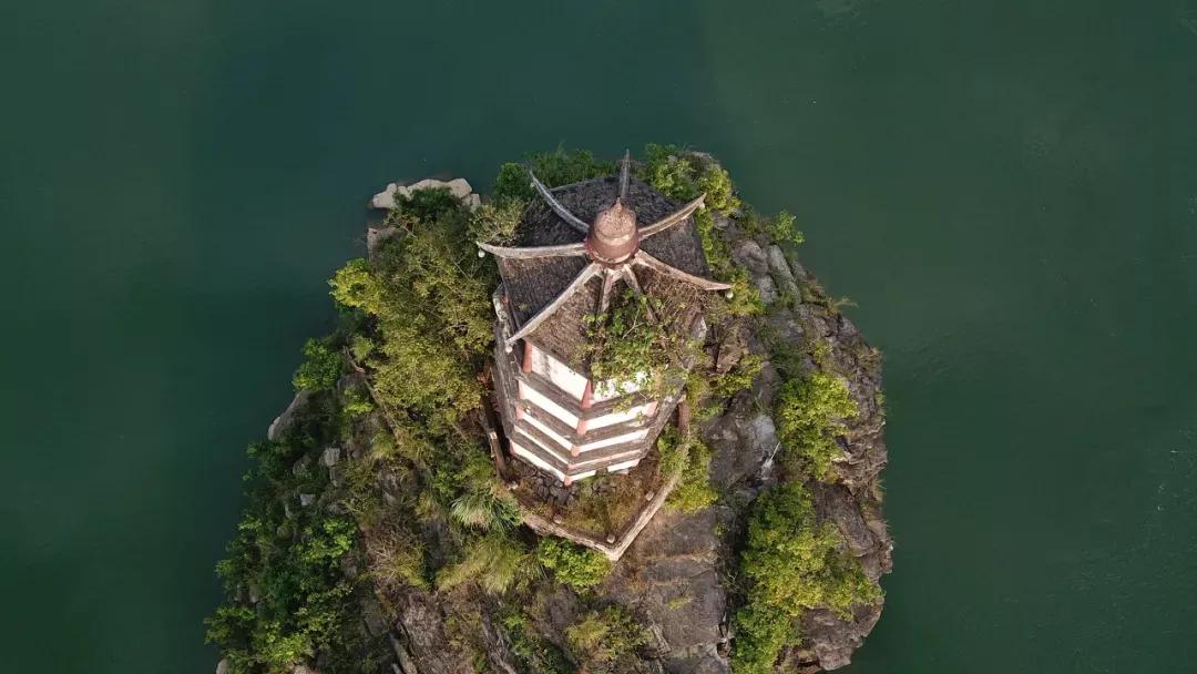 探寻心灵净土，世外桃园心水论坛的独特魅力