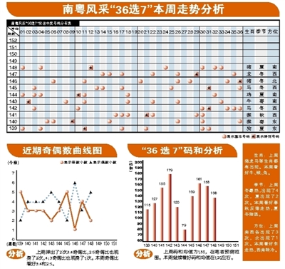 探索南粤风采36选7，数字背后的奥秘与乐趣