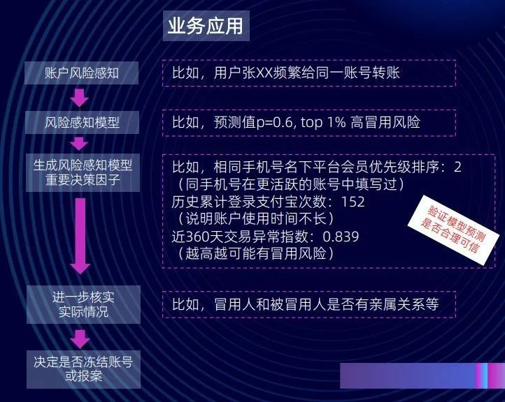 探索新奥天天免费资料单双的奥秘，一场数字时代的智慧盛宴