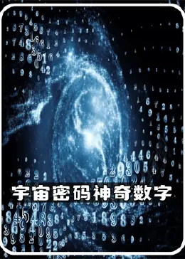 探索数字背后的秘密，13262.cc的奇妙之旅