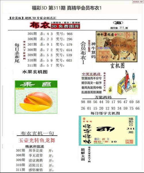 3D真精华布衣