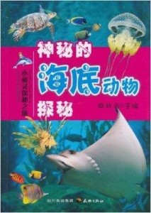 探秘神鹰报码聊天室，数字时代的秘密花园