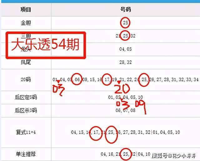 揭秘新澳天天开奖，54期开奖结果全解析