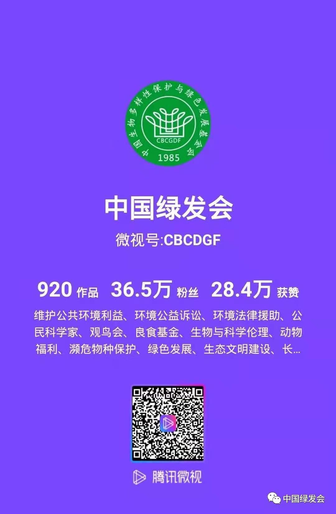 626969网站论坛，网络交流的绿色园地