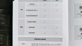 新址256天天好彩图资料，探索数字时代的幸运之门