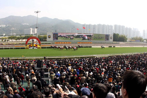 探索香港马会2019年开奖结果的历史记录，一场精彩纷呈的赛马盛宴