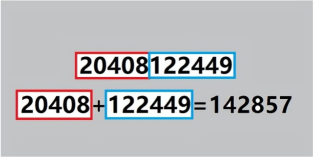 探索1183图库，数字背后的视觉盛宴