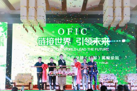 泰和在线论坛，数字时代的社区交流新阵地